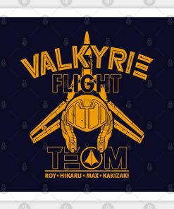 Valkyrie Flight Team