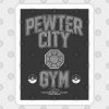 Pewter City Gym